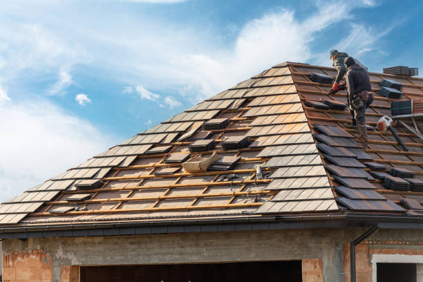 Best Roof Maintenance and Cleaning  in Mccaysville, GA